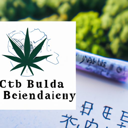 Everything You Need to Know Before Bringing CBD to Japan: A Comprehensive Guide