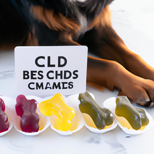 A Guide to CBD Gummies for Dogs: Everything You Need to Know