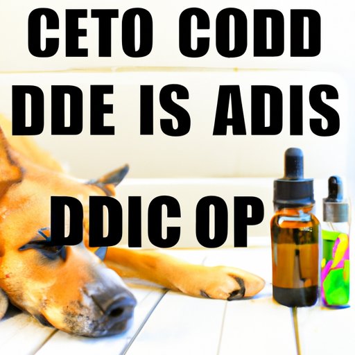 The Pros and Cons of Using CBD Oil for Dogs