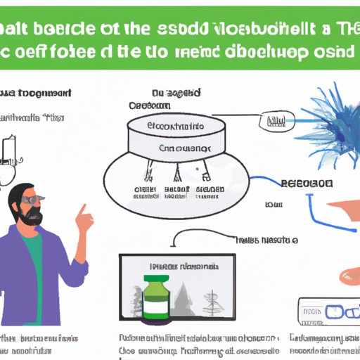 II. Explaining the Science behind CBD and THC Interaction