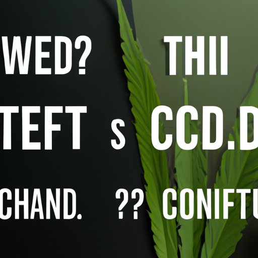  CBD vs THC: Understanding the Difference in Drug Testing 