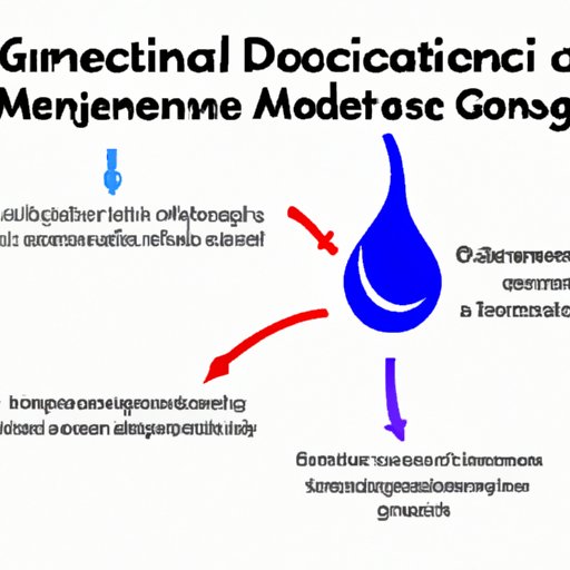 The Impact of Gluconeogenesis on Diabetes Management and Blood Sugar Control