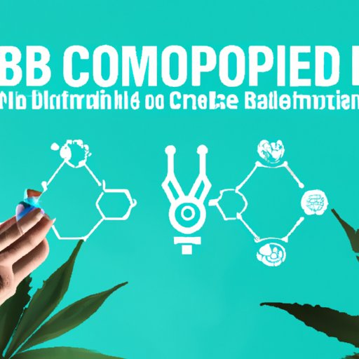 Unlocking the Mysteries of CBD: A Comprehensive Guide to Its Mechanisms