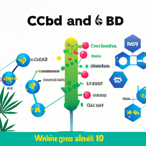 The Science Behind CBD: Understanding How It Works in Your Body