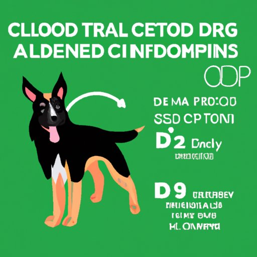 The Ultimate Guide to Understanding How Long CBD Lasts in Dogs