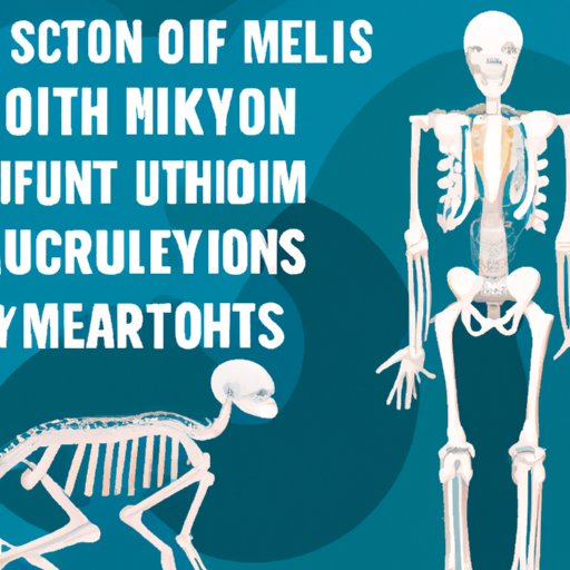 Separating Fact from Fiction: Common Myths About the Human Skeletal System