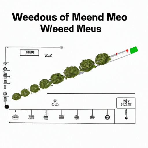 Everything You Need to Know About Weed Measurements: How Many Ounces in a Pound of Weed