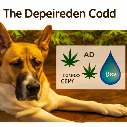 The impact of improper CBD dosage on dogs