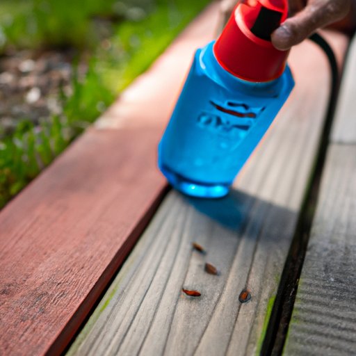 Using Chemical Sprays to Get Rid of Ants Outside