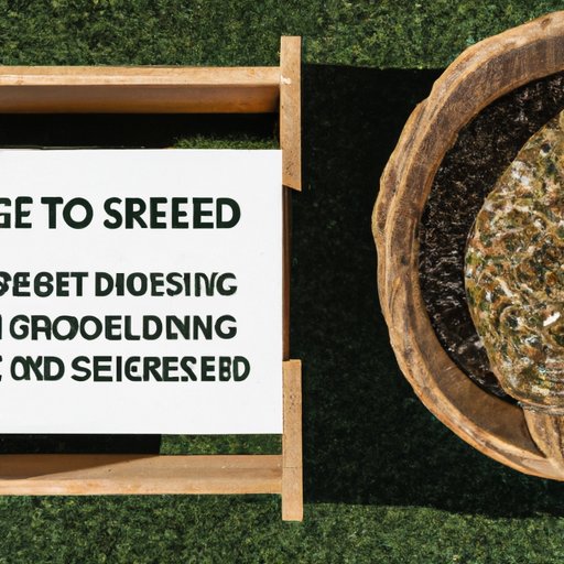 The Benefits of Overseeding and How to Do It Right