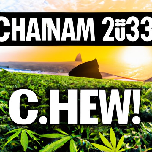 Navigating the Complex Landscape of CBD Legality in Hawaii: 2022 Edition