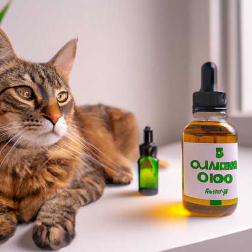 The Benefits and Risks of Using CBD Oil for Your Feline Companion