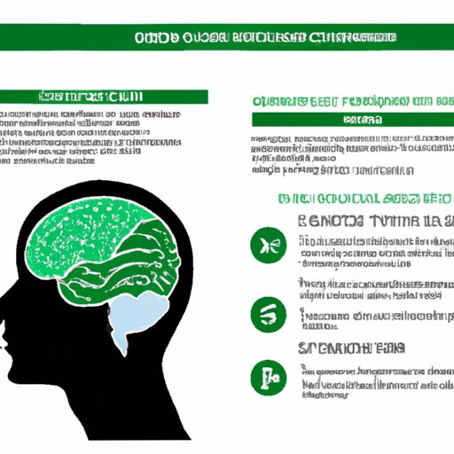 A Comprehensive Guide to CBD and the Brain: Insights for Better Mental Health