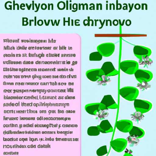 VI. From Cuttings to Blooms: A Comprehensive Guide to Propagating Hoyas