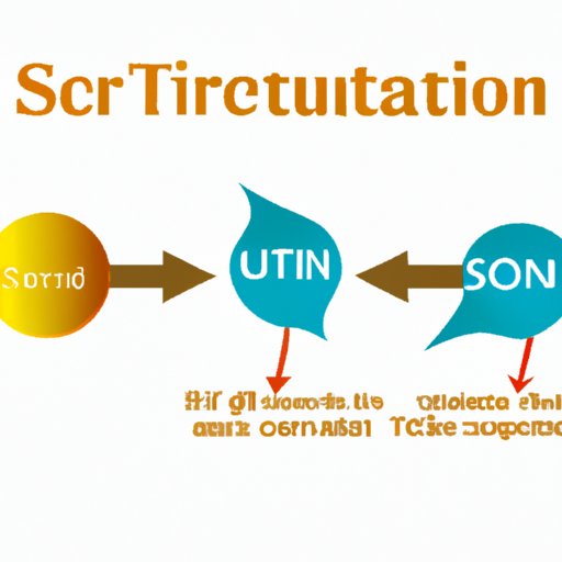 The Secrets of the Start Codon: How It Initiates the Translation Process