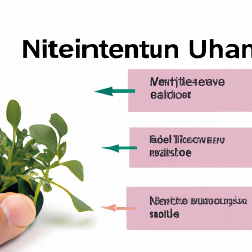 The Role of Limiting Nutrients in Plant Growth: How to Identify and Solve Nutrient Deficiencies