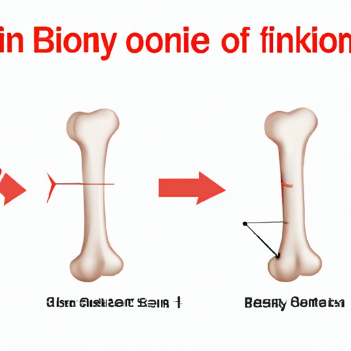 IV. The One Bone Every Baby is Missing: Understanding the Anatomy of Newborns