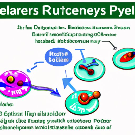 The Key Players: Understanding Receptor Molecules and Their Role in Our Health