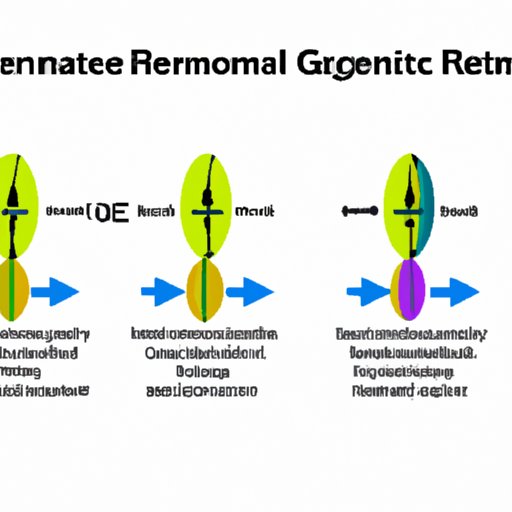 How the Three Methods of Genetic Recombination Contribute to Genetic Variation