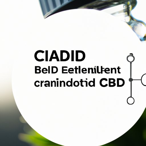 Does CBD Dehydrate You? Separating Myth from Reality